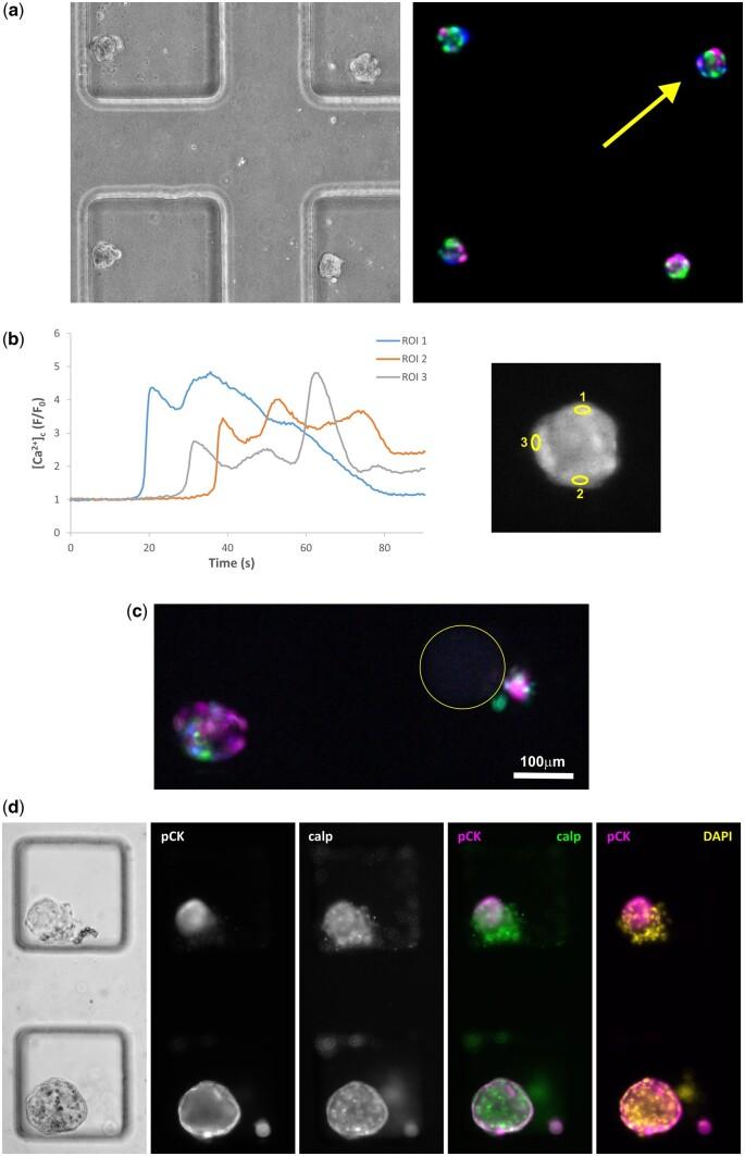 https://cdn.ncbi.nlm.nih.gov/pmc/blobs/4cd5/11532614/eacc285680fd/deae214f6.jpg