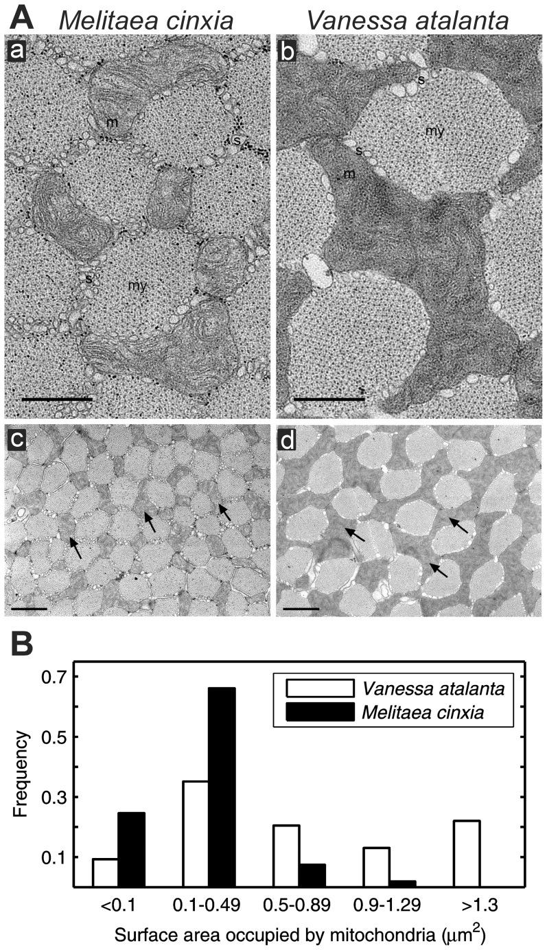 https://cdn.ncbi.nlm.nih.gov/pmc/blobs/4cd5/3885395/fffd49b8af30/pone.0078069.g004.jpg