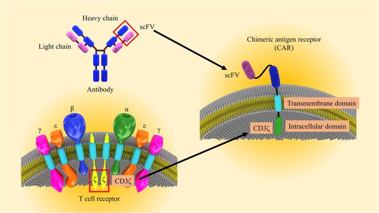 https://cdn.ncbi.nlm.nih.gov/pmc/blobs/4cd5/7831265/657fef6a6c71/13287_2020_2128_Fig1_HTML.jpg