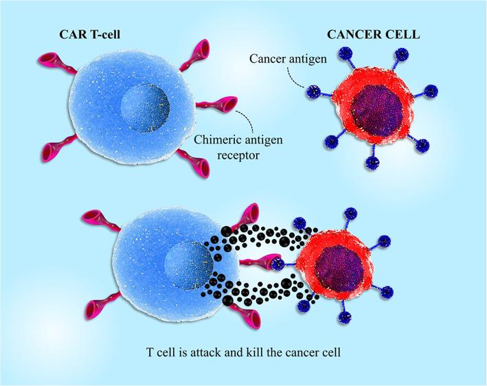 https://cdn.ncbi.nlm.nih.gov/pmc/blobs/4cd5/7831265/690f2b92704f/13287_2020_2128_Fig3_HTML.jpg