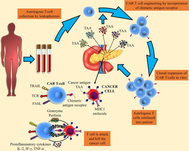 https://cdn.ncbi.nlm.nih.gov/pmc/blobs/4cd5/7831265/ef435c3f8d35/13287_2020_2128_Fig5_HTML.jpg