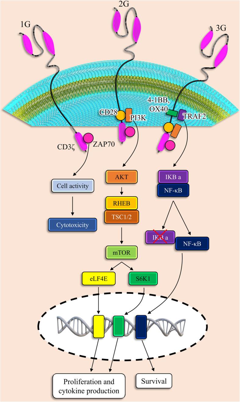 https://cdn.ncbi.nlm.nih.gov/pmc/blobs/4cd5/7831265/f121506b647d/13287_2020_2128_Fig2_HTML.jpg