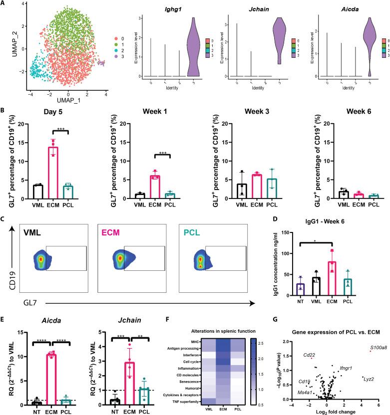 https://cdn.ncbi.nlm.nih.gov/pmc/blobs/4cd5/8635437/3520cca7073d/sciadv.abj5830-f2.jpg