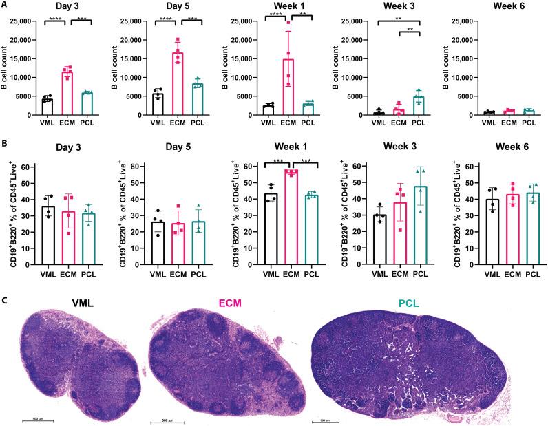 https://cdn.ncbi.nlm.nih.gov/pmc/blobs/4cd5/8635437/bdaf63691985/sciadv.abj5830-f1.jpg