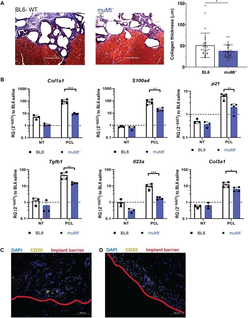 https://cdn.ncbi.nlm.nih.gov/pmc/blobs/4cd5/8635437/c3917a3ea632/sciadv.abj5830-f4.jpg