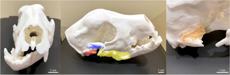 https://cdn.ncbi.nlm.nih.gov/pmc/blobs/4cd5/9178851/4aee75b15109/41205_2022_142_Fig3_HTML.jpg