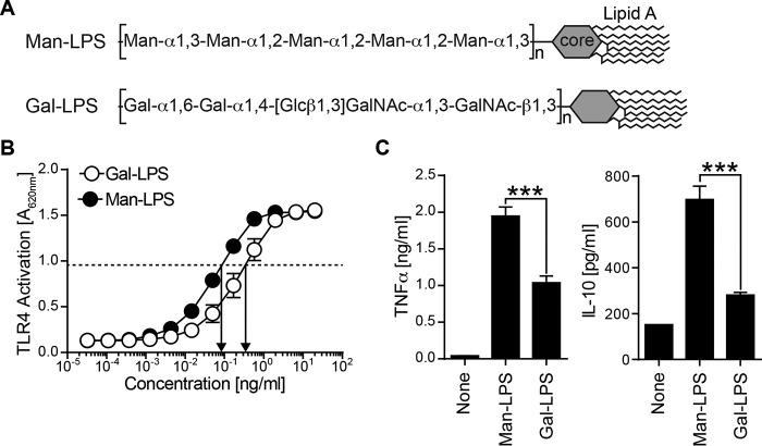 https://cdn.ncbi.nlm.nih.gov/pmc/blobs/4cd6/5016159/3a272a755fc3/zbc0361650170001.jpg