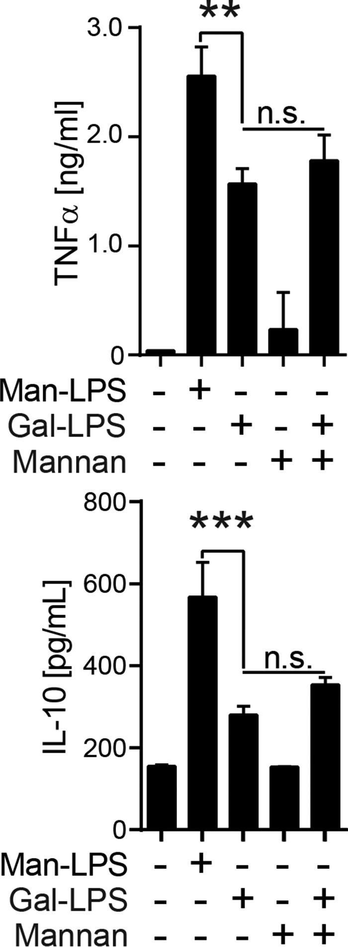 https://cdn.ncbi.nlm.nih.gov/pmc/blobs/4cd6/5016159/f0bed51598b7/zbc0361650170005.jpg
