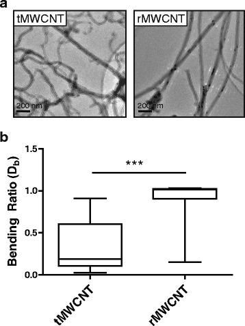 https://cdn.ncbi.nlm.nih.gov/pmc/blobs/4cd8/5512939/8391cd902c73/12989_2017_207_Fig1_HTML.jpg