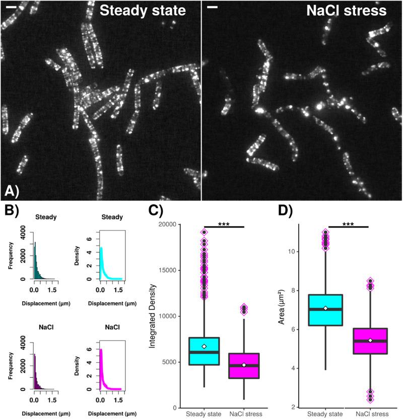 https://cdn.ncbi.nlm.nih.gov/pmc/blobs/4cd8/7468405/6a2972017339/fmicb-11-01946-g007.jpg