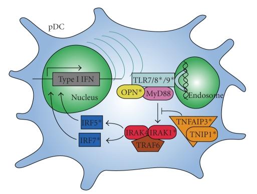 https://cdn.ncbi.nlm.nih.gov/pmc/blobs/4cdb/2896914/9ce9746582e3/JBB2010-948364.002.jpg