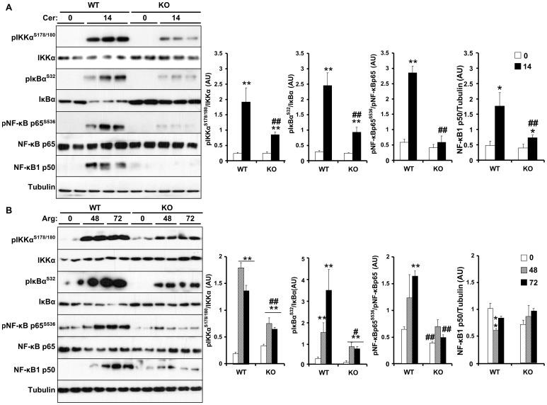https://cdn.ncbi.nlm.nih.gov/pmc/blobs/4cdd/4234494/7eeeb38915d4/pone.0113019.g003.jpg