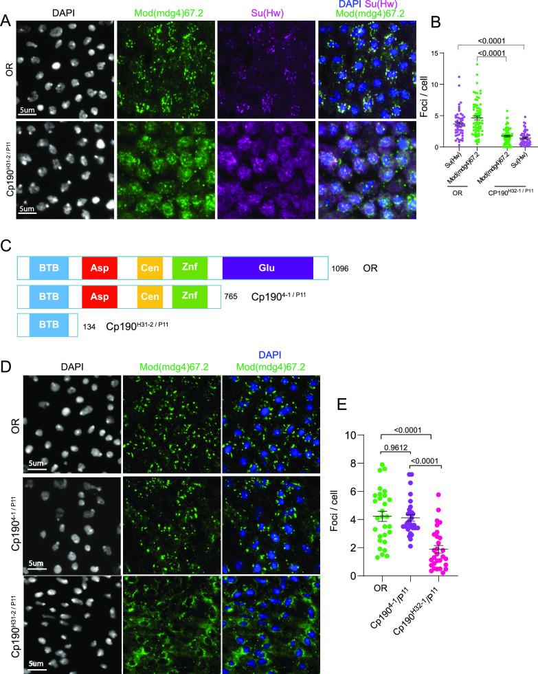 https://cdn.ncbi.nlm.nih.gov/pmc/blobs/4cdd/9297610/bc5c65efde7c/LSA-2022-01536_Fig4.jpg