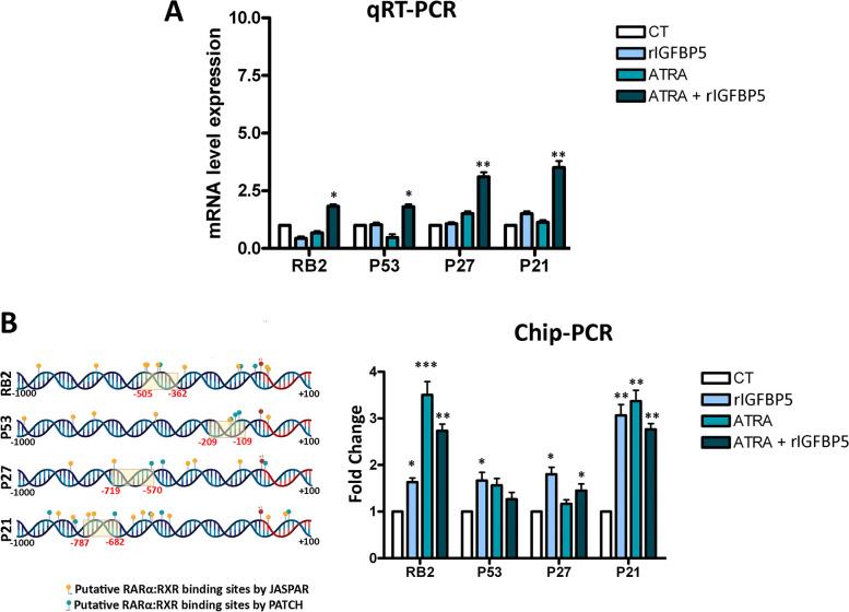 https://cdn.ncbi.nlm.nih.gov/pmc/blobs/4cde/10863175/a31dc76c363a/12964_2024_1469_Fig6_HTML.jpg