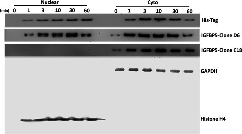 https://cdn.ncbi.nlm.nih.gov/pmc/blobs/4cde/10863175/be2323093bd1/12964_2024_1469_Fig3_HTML.jpg