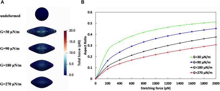 https://cdn.ncbi.nlm.nih.gov/pmc/blobs/4cde/11163055/4c5ac5be7593/fbioe-12-1393413-g008.jpg