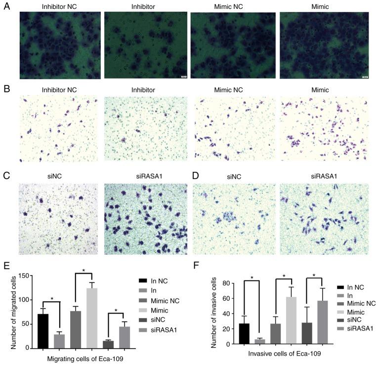 https://cdn.ncbi.nlm.nih.gov/pmc/blobs/4ce2/6365704/205b9da8cec0/OR-41-03-1627-g02.jpg