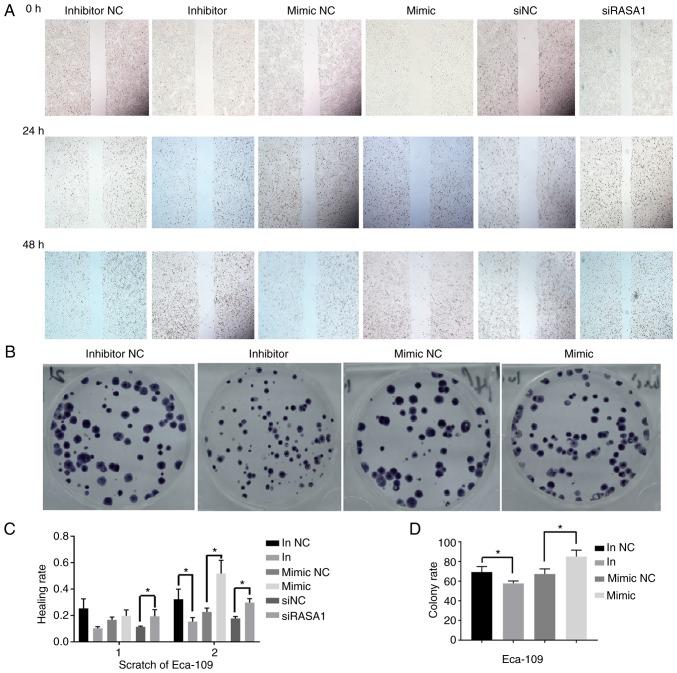 https://cdn.ncbi.nlm.nih.gov/pmc/blobs/4ce2/6365704/e2d791d218a1/OR-41-03-1627-g01.jpg