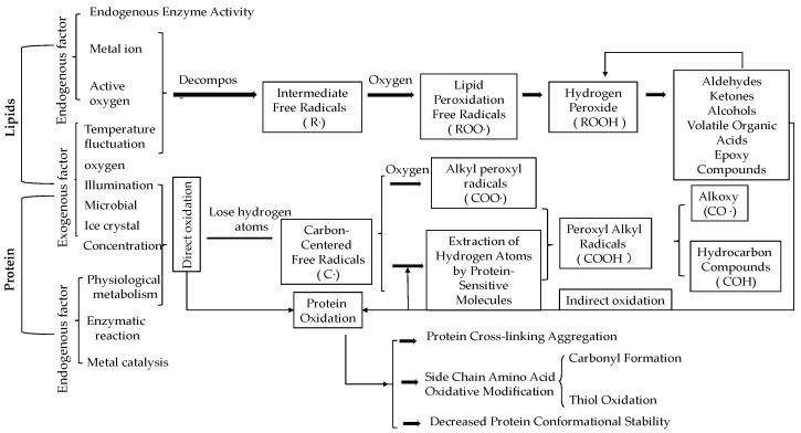 https://cdn.ncbi.nlm.nih.gov/pmc/blobs/4ce4/11507462/9f92131c981e/foods-13-03309-g003.jpg