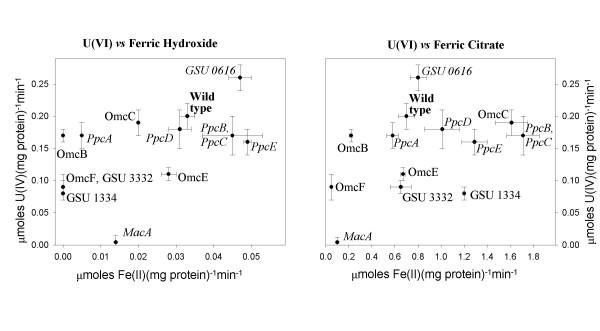 https://cdn.ncbi.nlm.nih.gov/pmc/blobs/4ce6/1829397/95cfa15223dd/1471-2180-7-16-8.jpg