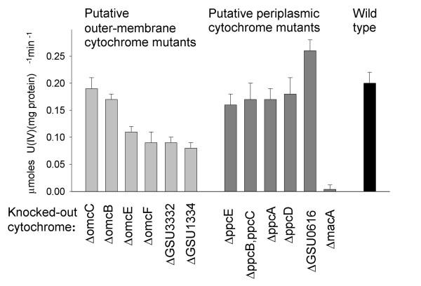 https://cdn.ncbi.nlm.nih.gov/pmc/blobs/4ce6/1829397/ec93f6e843f3/1471-2180-7-16-4.jpg