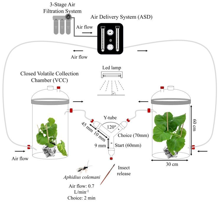 https://cdn.ncbi.nlm.nih.gov/pmc/blobs/4ce7/10889700/3bba6429ceb3/insects-15-00092-g001.jpg