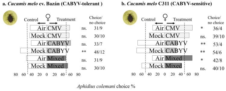 https://cdn.ncbi.nlm.nih.gov/pmc/blobs/4ce7/10889700/df25a04a6eb7/insects-15-00092-g003.jpg