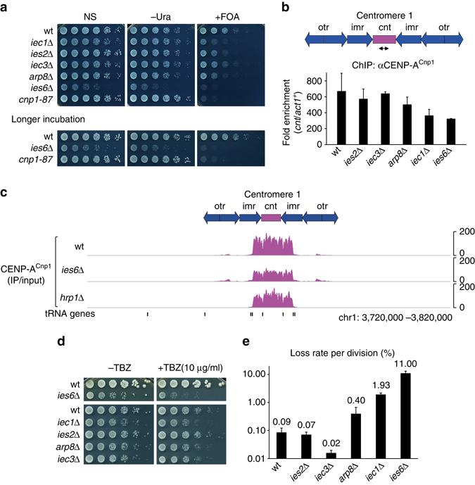 https://cdn.ncbi.nlm.nih.gov/pmc/blobs/4ce8/5597579/1ec7264d5710/41467_2017_704_Fig1_HTML.jpg