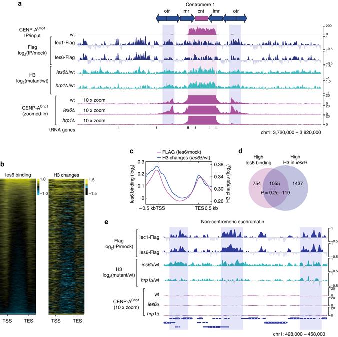 https://cdn.ncbi.nlm.nih.gov/pmc/blobs/4ce8/5597579/3a0ee973e24c/41467_2017_704_Fig2_HTML.jpg
