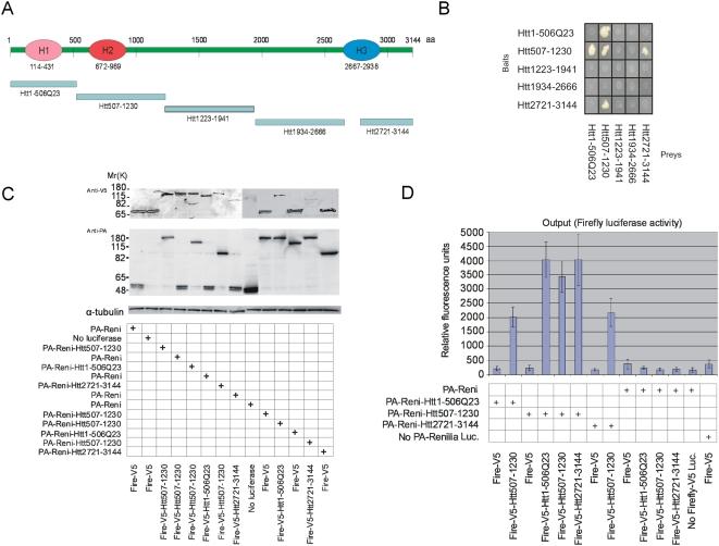 https://cdn.ncbi.nlm.nih.gov/pmc/blobs/4cea/2647740/1a0993f9161c/pcbi.1000304.g003.jpg