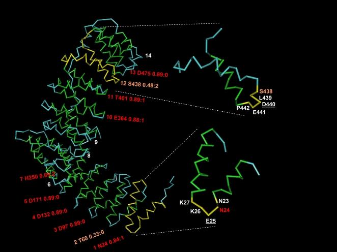 https://cdn.ncbi.nlm.nih.gov/pmc/blobs/4cea/2647740/ec57666f48a8/pcbi.1000304.g001.jpg