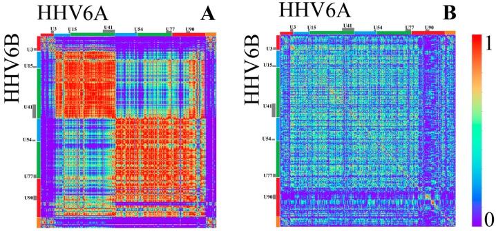 https://cdn.ncbi.nlm.nih.gov/pmc/blobs/4cea/5406869/b31193188bde/genes-08-00122-g009.jpg