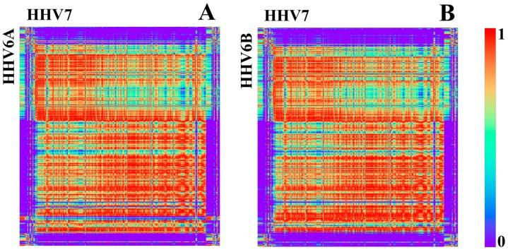 https://cdn.ncbi.nlm.nih.gov/pmc/blobs/4cea/5406869/c864bb426e3e/genes-08-00122-g010.jpg