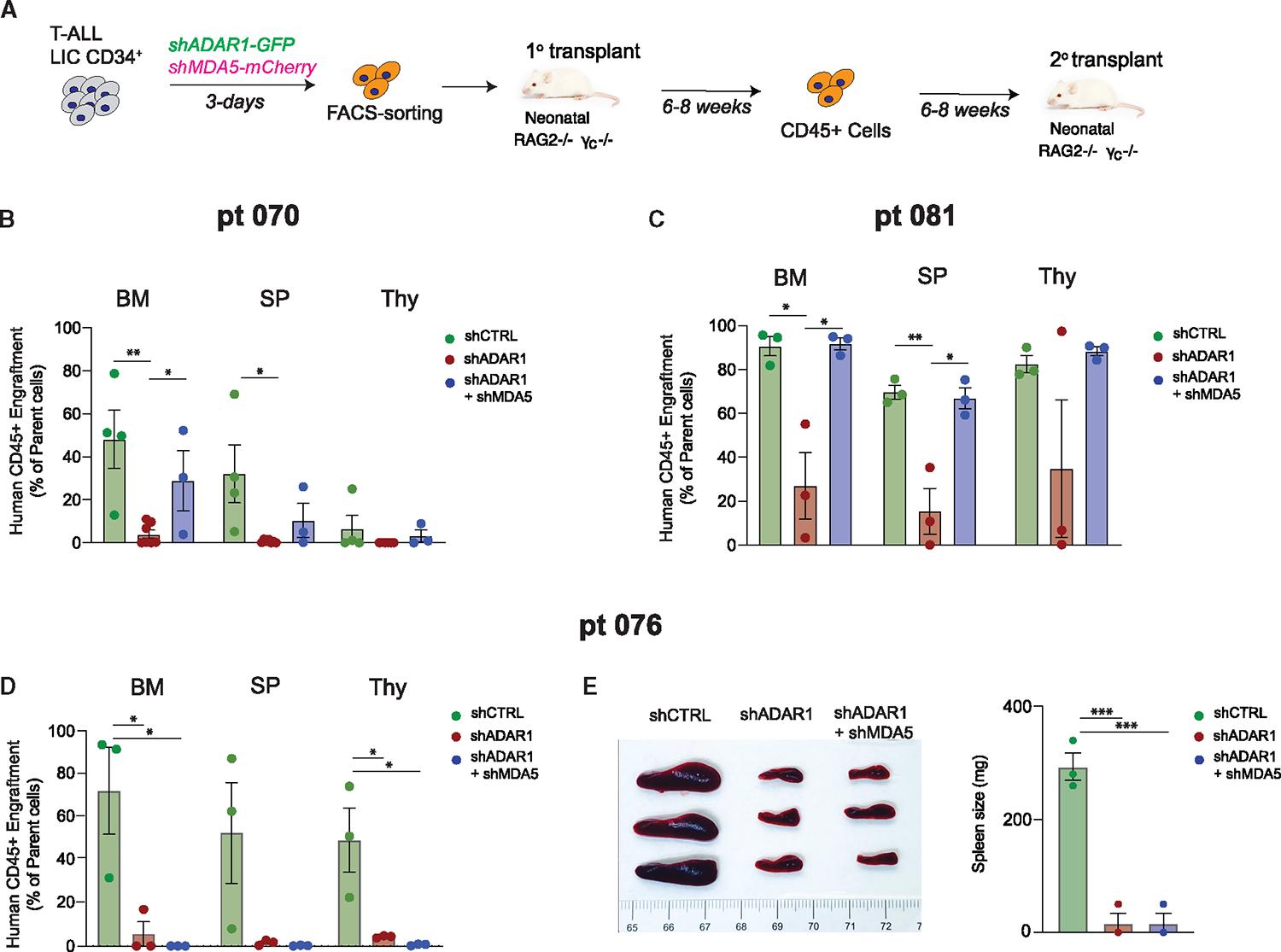 https://cdn.ncbi.nlm.nih.gov/pmc/blobs/4ceb/10962356/6a6781d946de/nihms-1970866-f0005.jpg