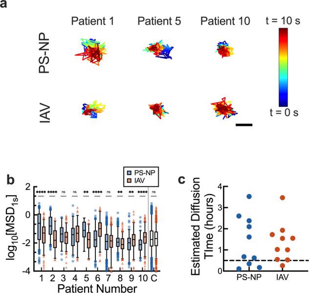 https://cdn.ncbi.nlm.nih.gov/pmc/blobs/4cf0/8941132/e7ea404f6ab5/42003_2022_3204_Fig2_HTML.jpg