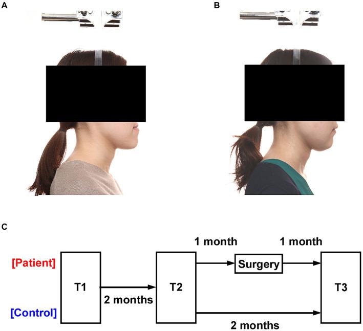 https://cdn.ncbi.nlm.nih.gov/pmc/blobs/4cf1/11420145/cfecd81f1392/fpsyg-15-1426820-g001.jpg