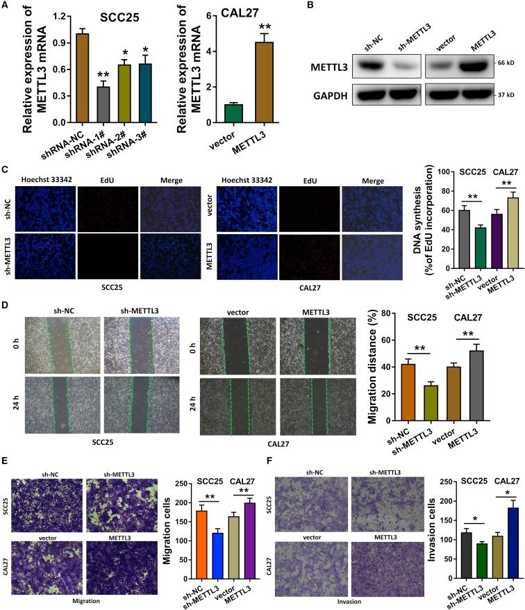 https://cdn.ncbi.nlm.nih.gov/pmc/blobs/4cf1/7057159/782794858a0c/gr3.jpg