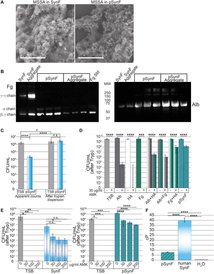 https://cdn.ncbi.nlm.nih.gov/pmc/blobs/4cf2/8117011/421ae6435d40/fmicb-12-655873-g004.jpg