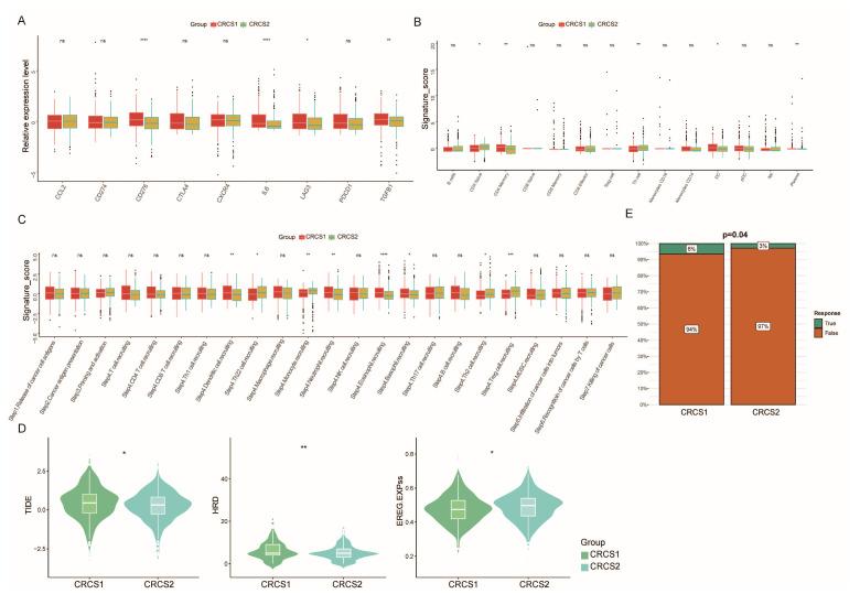 https://cdn.ncbi.nlm.nih.gov/pmc/blobs/4cf3/11504857/0cb51b5da4bf/biomedicines-12-02171-g004.jpg