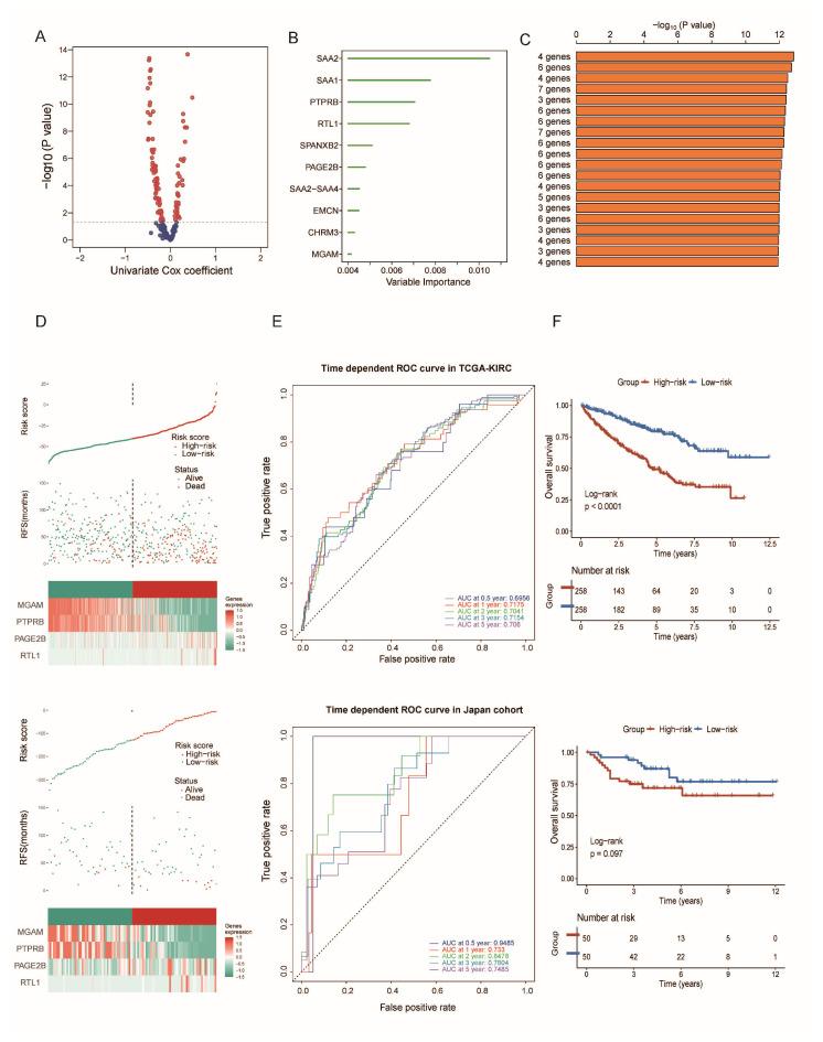 https://cdn.ncbi.nlm.nih.gov/pmc/blobs/4cf3/11504857/21c83cb26cb0/biomedicines-12-02171-g008.jpg
