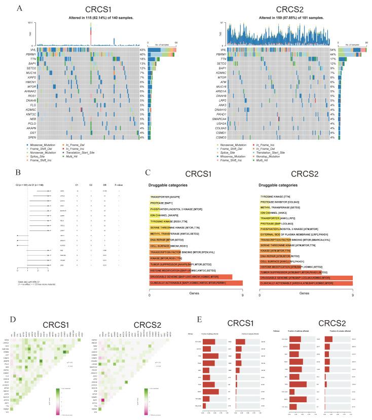 https://cdn.ncbi.nlm.nih.gov/pmc/blobs/4cf3/11504857/391435d40b70/biomedicines-12-02171-g005.jpg
