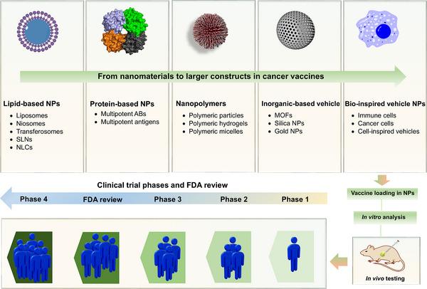 https://cdn.ncbi.nlm.nih.gov/pmc/blobs/4cf3/12067400/93f80c18b14a/CAC2-45-529-g004.jpg