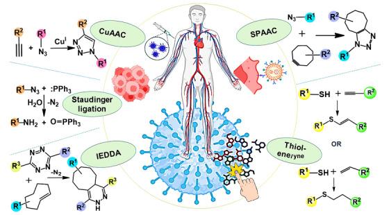 https://cdn.ncbi.nlm.nih.gov/pmc/blobs/4cf3/12067400/a4ae064e323a/CAC2-45-529-g006.jpg