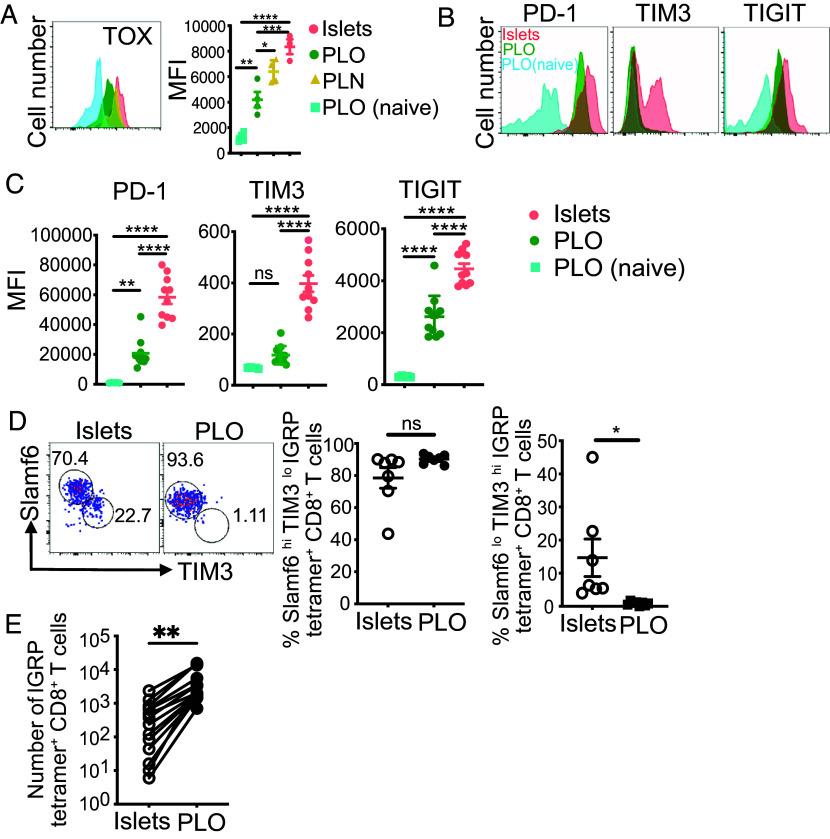 https://cdn.ncbi.nlm.nih.gov/pmc/blobs/4cf5/10861925/4cd79a3d92d7/pnas.2315419121fig02.jpg