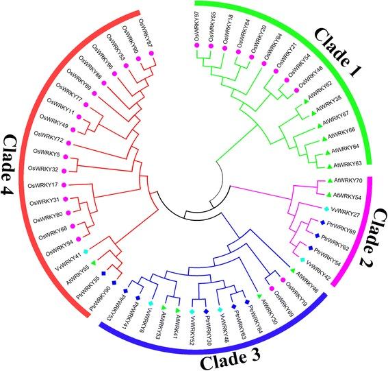 https://cdn.ncbi.nlm.nih.gov/pmc/blobs/4cf5/4563840/050595a95e5a/13062_2015_76_Fig2_HTML.jpg