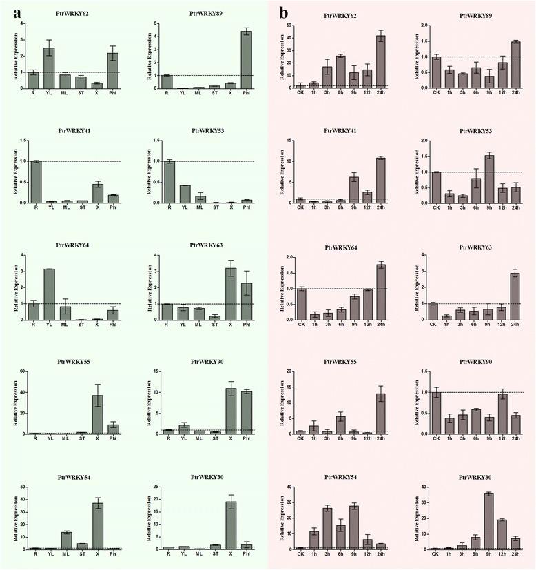 https://cdn.ncbi.nlm.nih.gov/pmc/blobs/4cf5/4563840/3460fbaabdf1/13062_2015_76_Fig10_HTML.jpg
