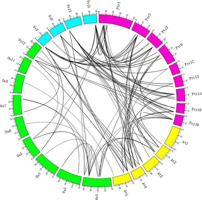 https://cdn.ncbi.nlm.nih.gov/pmc/blobs/4cf5/4563840/499329c2086d/13062_2015_76_Fig5_HTML.jpg