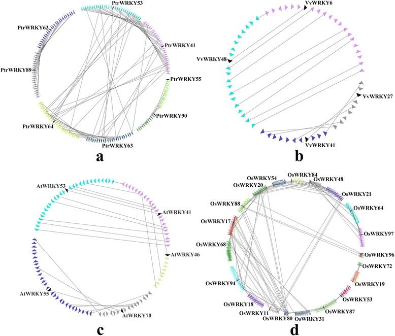https://cdn.ncbi.nlm.nih.gov/pmc/blobs/4cf5/4563840/6797c209c115/13062_2015_76_Fig6_HTML.jpg