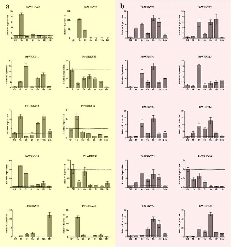 https://cdn.ncbi.nlm.nih.gov/pmc/blobs/4cf5/4563840/70e2d6eaa375/13062_2015_76_Fig11_HTML.jpg