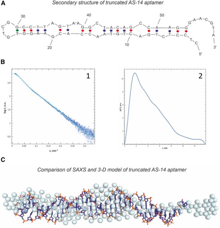 https://cdn.ncbi.nlm.nih.gov/pmc/blobs/4cf6/8601970/aa60be9af06b/gr1.jpg